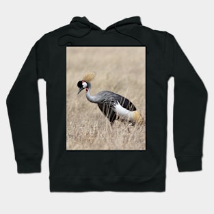 Grey Crowned Crane, Serengeti, Tanzania Hoodie